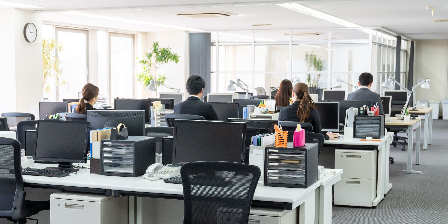 Back Office Support